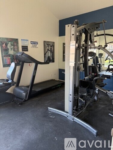 A gym with a treadmill and a weight machine.