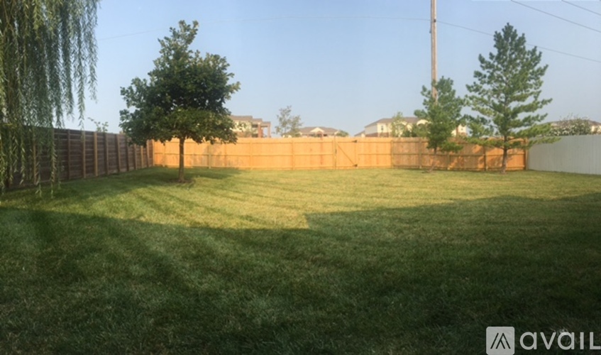 A backyard with a fence and trees.