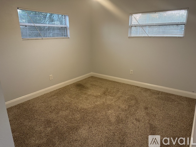 A room with carpeted floor and two windows.