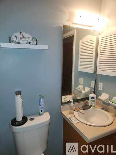 A bathroom with a toilet, sink, and mirror.