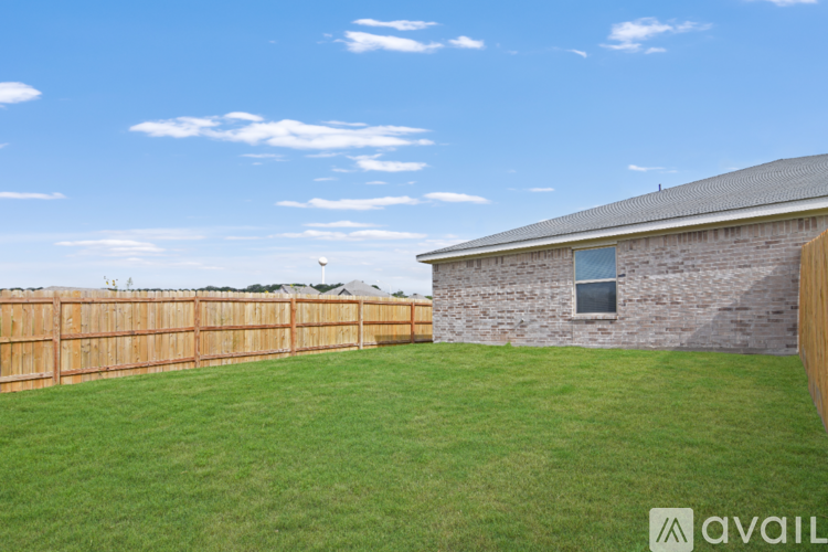 A backyard with a wooden fence and a grassy lawn.