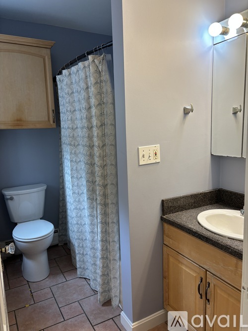 A bathroom with a toilet, sink, and shower curtain.