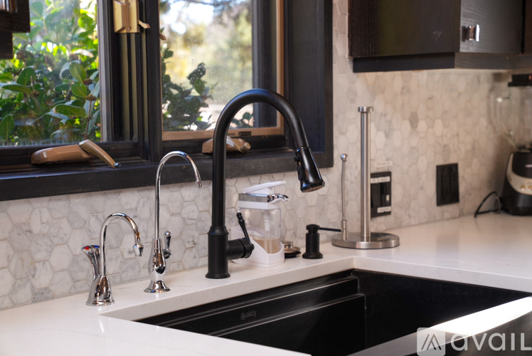 A kitchen sink with a black faucet and a silver faucet on the side.