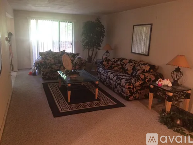 A living room with a couch, coffee table, and a plant.