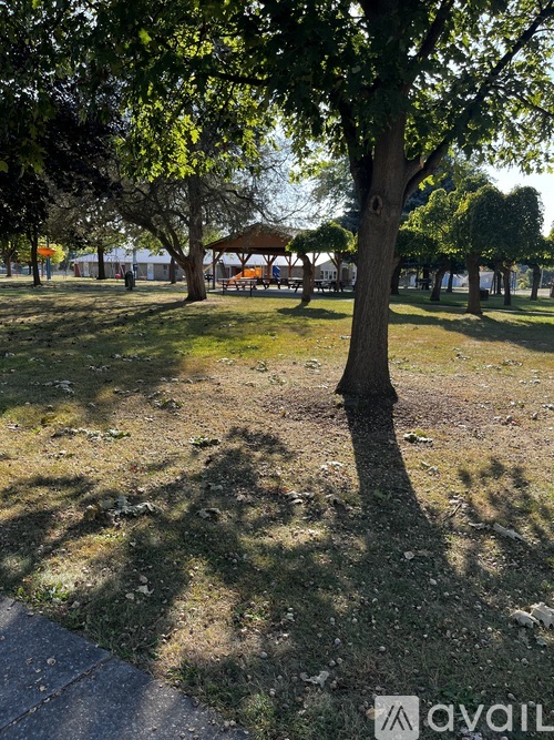 A park with a tree and a bench.