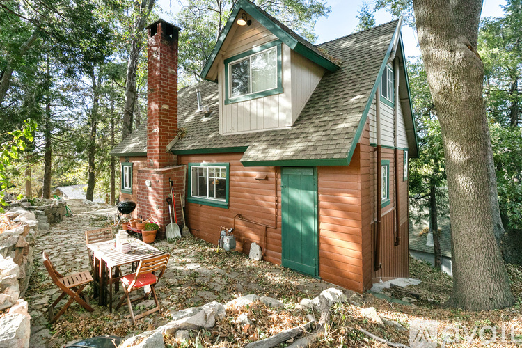 A small house with a green door and a red brick chimney is surrounded by trees.