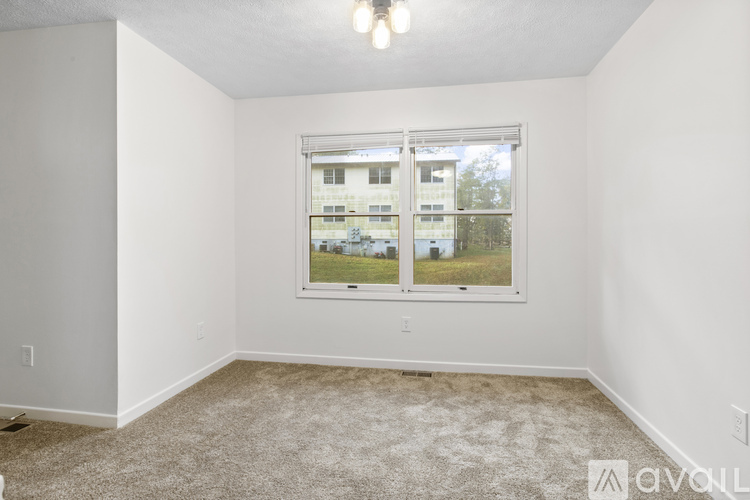 A room with a carpeted floor and a window showing a view of a building outside.