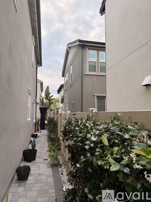 A narrow alley with a paved path and a building on the right.