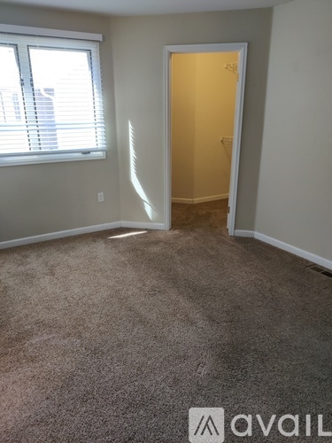 A carpeted room with a window and a door.