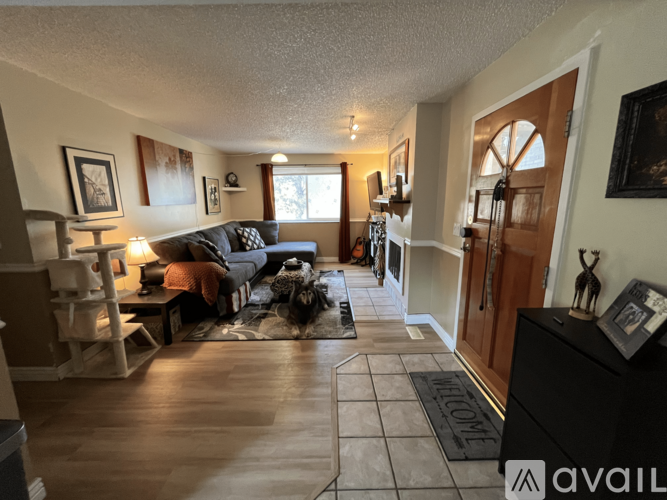 A living room with a couch, a chair, a dog, and a cat.