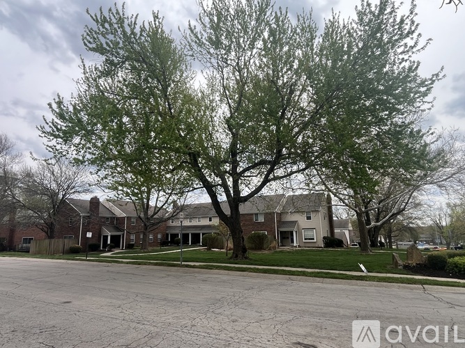 A tree with green leaves stands in front of a house.