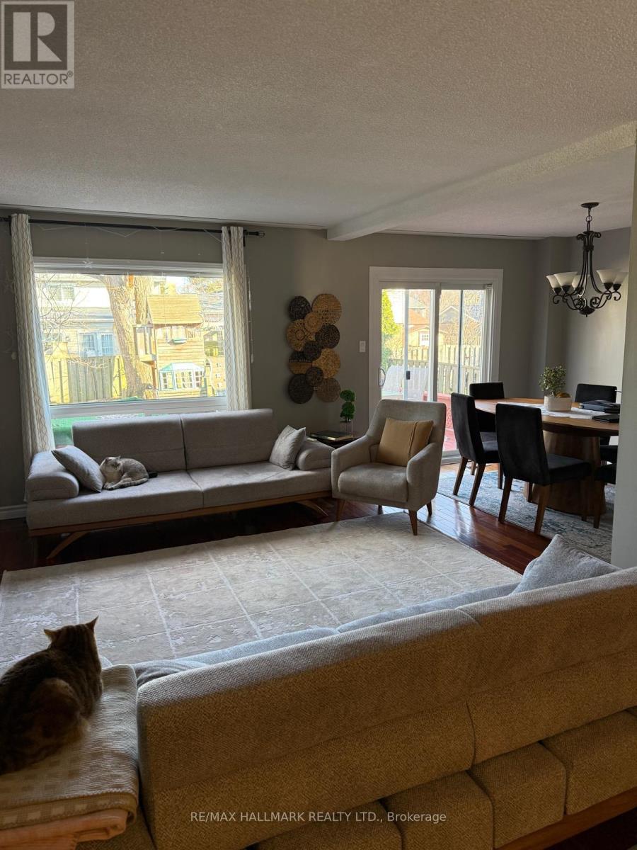 A cat is sitting on a couch in a living room.