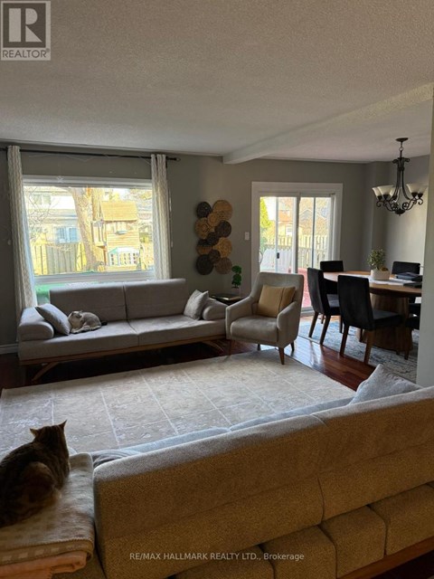 A cat is sitting on a couch in a living room.