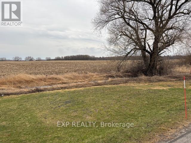A field with a tree and a sign that says EXP REALTY Brokerage.