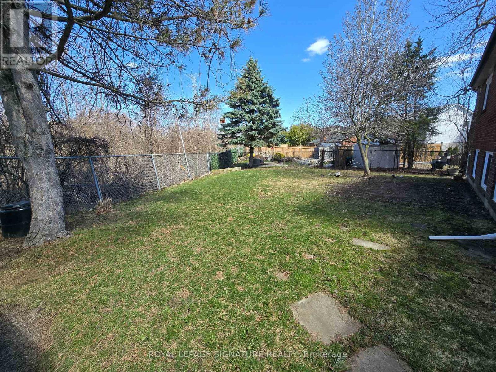 A backyard with a fence, trees, and a shed.