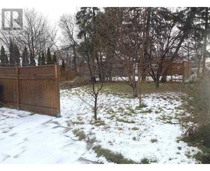 A snow-covered ground with a wooden fence and bare trees in the background.