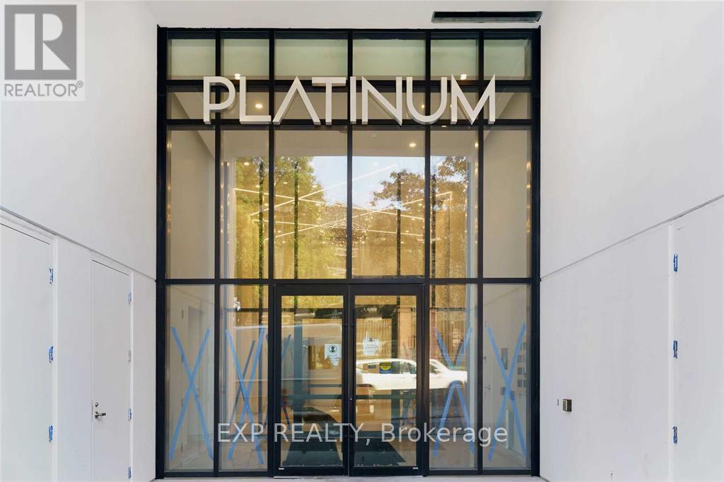 A modern building with a glass door entrance and the word "PLATINUM" written above it.
