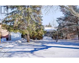 A snowy landscape with trees and a house in the background.