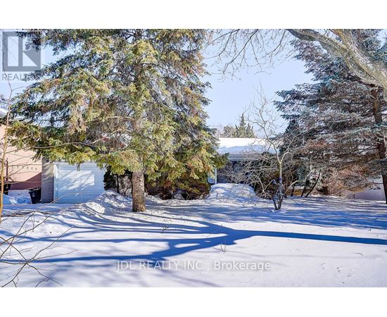 A snowy landscape with trees and a house in the background.