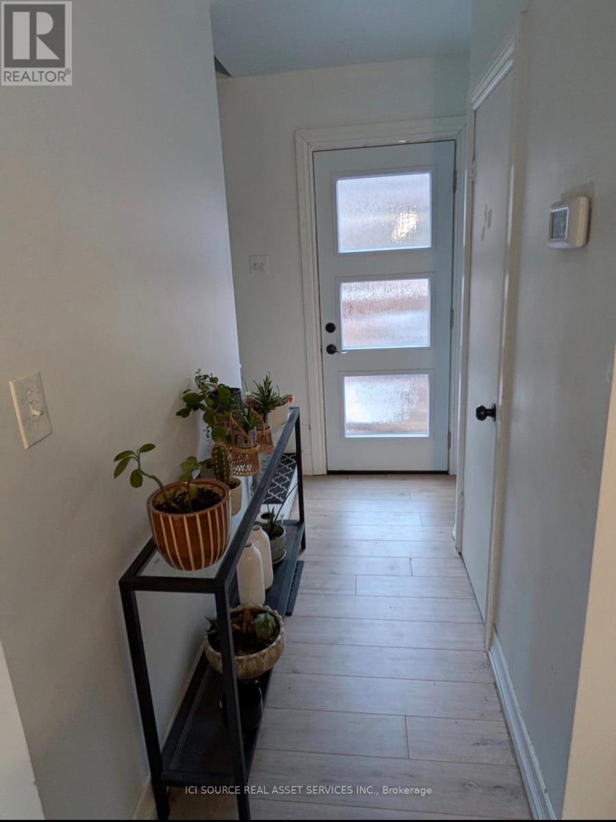 A hallway with a door and a plant on a shelf.