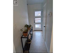A hallway with a door and a plant on a shelf.