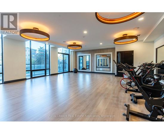 A gym with treadmills and elliptical machines.