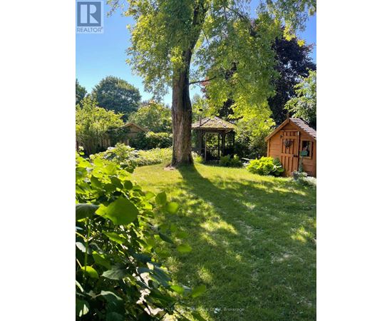 A tree in a yard with a gazebo and a small house.