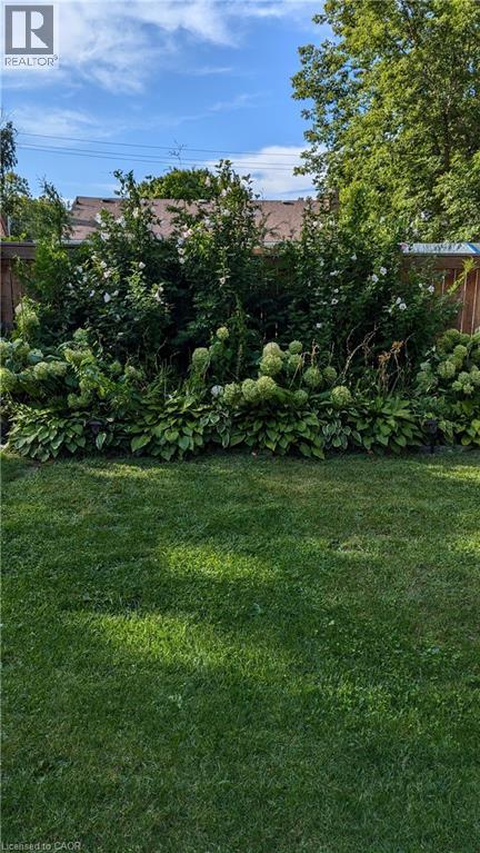A well-maintained lawn with a variety of plants and trees.