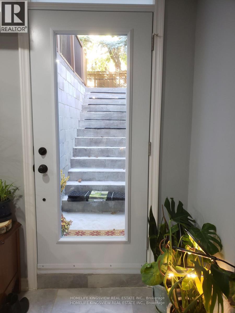 A door with a glass window showing a staircase and a plant in front of it.