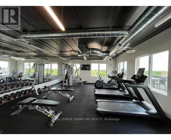A gym with treadmills, weights and other equipment.