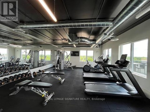 A gym with treadmills, weights and other equipment.