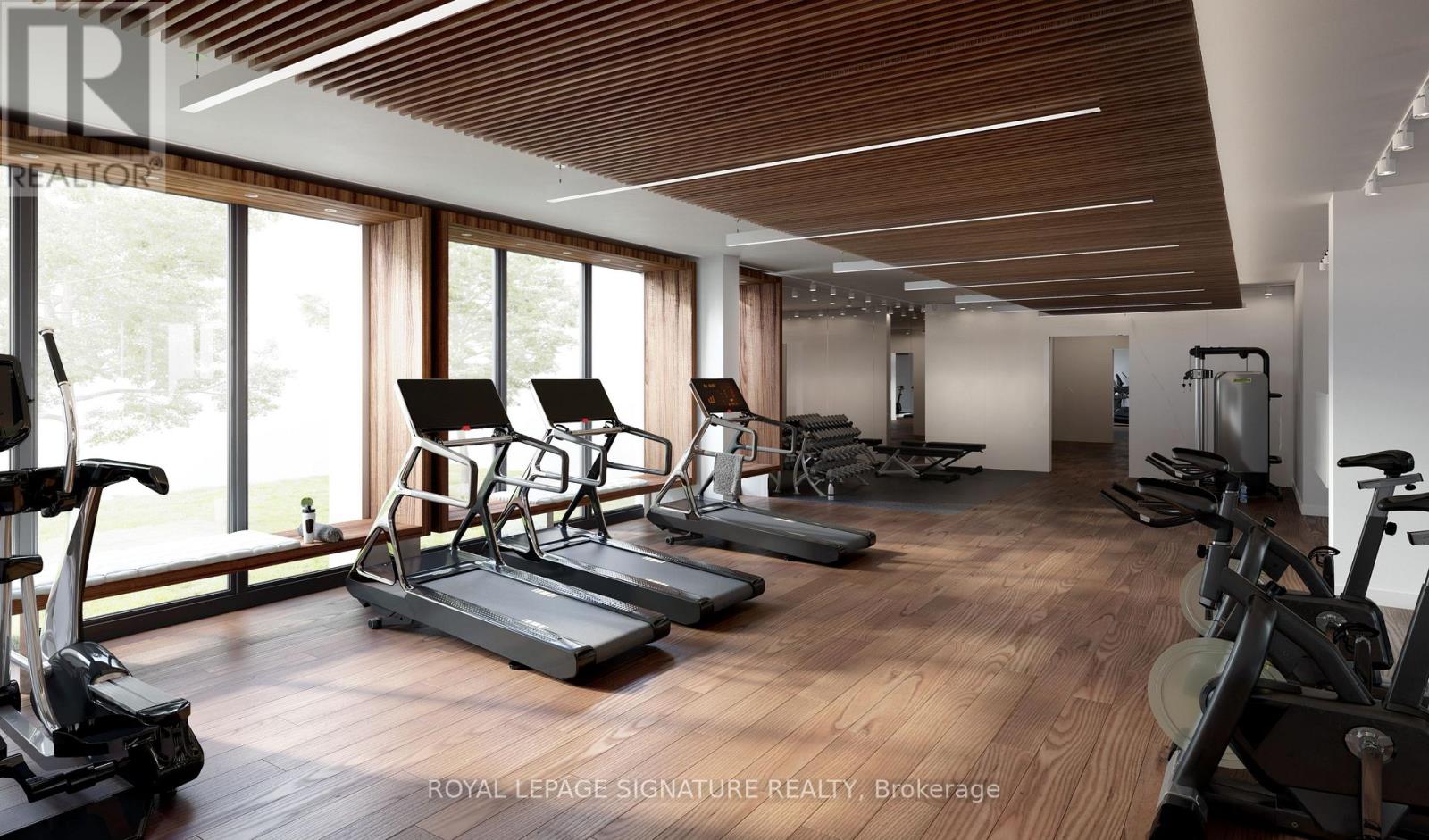 A gym with treadmills, elliptical machines, and other exercise equipment.