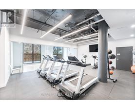 A gym with treadmills and exercise balls.