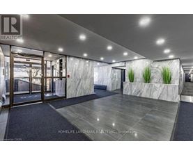 A lobby with a marble wall and a plant on top.