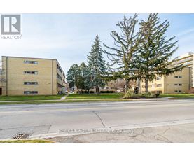 A street view of a residential area with buildings and trees.