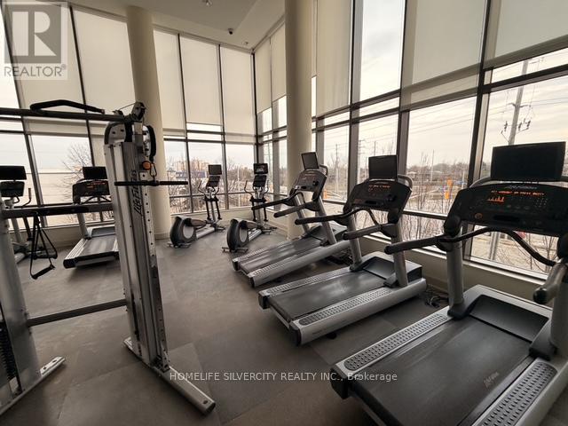 A gym with treadmills and elliptical machines.