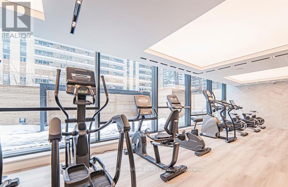 A gym with treadmills and elliptical machines.