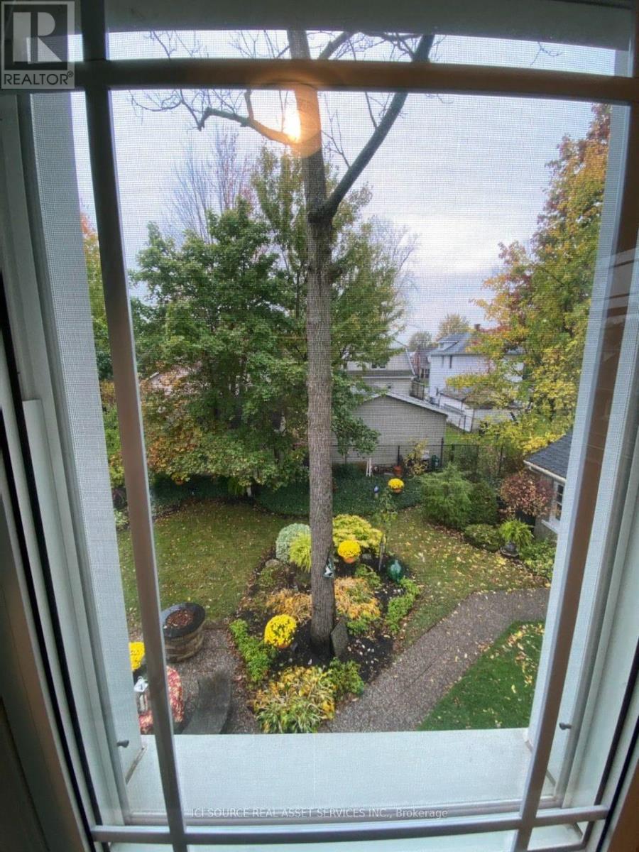 A view from a window looking out at a garden.