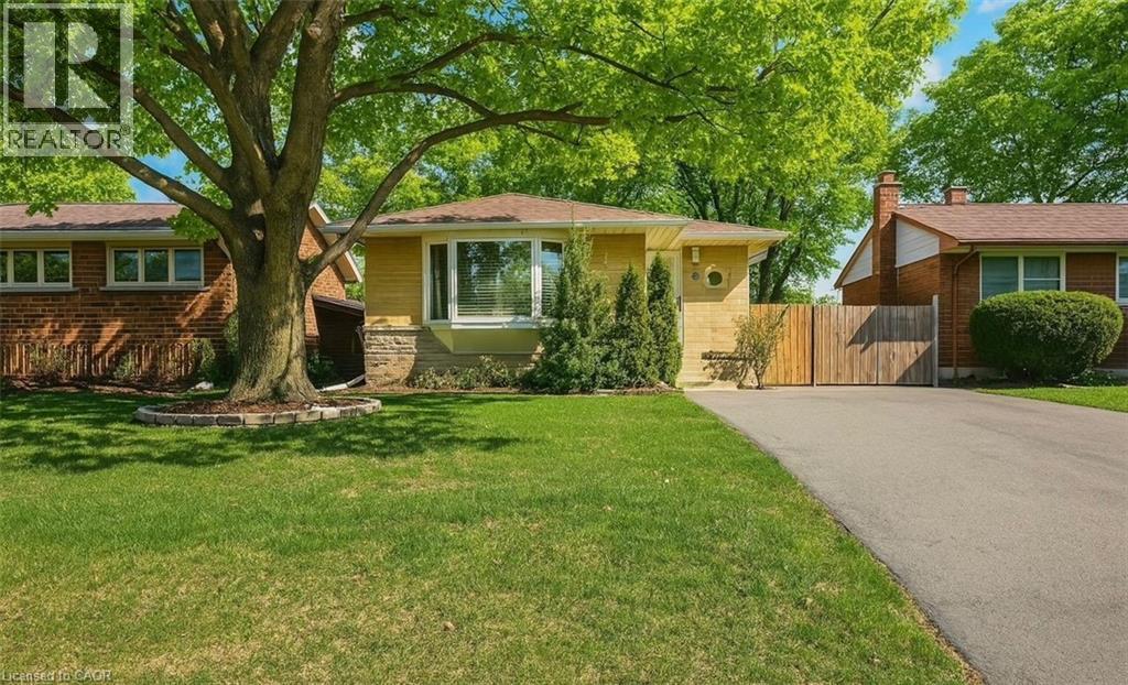 A house with a tree in front of it.