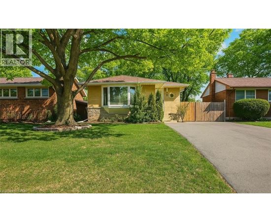 A house with a tree in front of it.