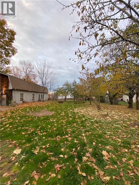 A grassy area with fallen leaves and a tree in the foreground.