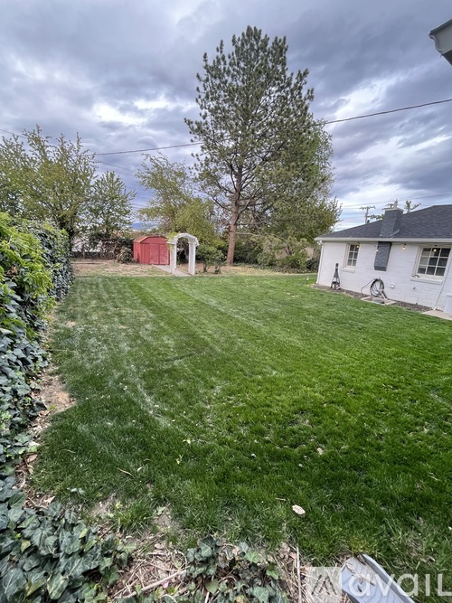 A backyard with a green lawn and a red shed.