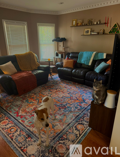 A dog is standing on a rug in a living room with a cat sitting on a piece of furniture.