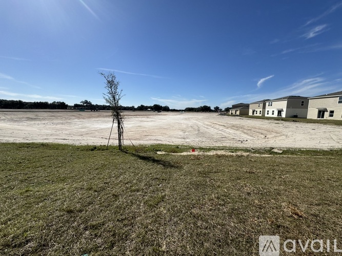 A barren field with a single tree and a building in the distance.