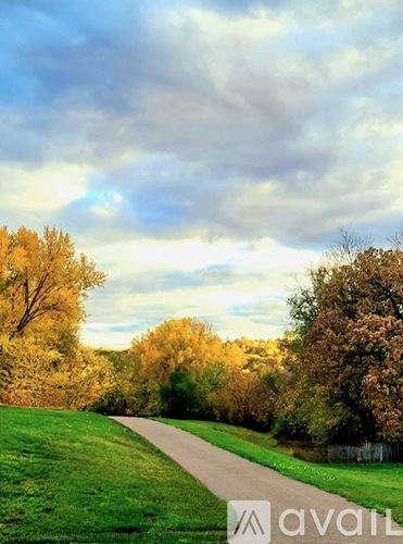 A pathway in a park with trees on either side.