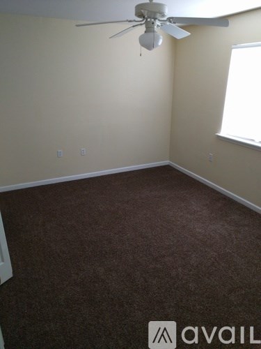 A room with a carpeted floor and a ceiling fan.