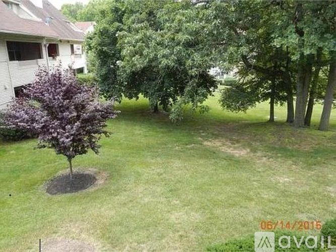 A tree with purple leaves is in the middle of a grassy area.