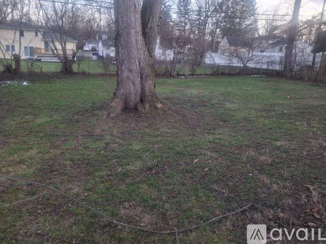 A tree in a grassy area with houses in the background.