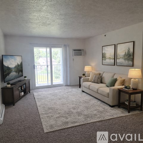 A living room with a couch, a television, and a rug.