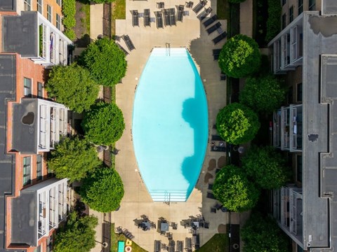 A swimming pool surrounded by trees and chairs in a residential area.